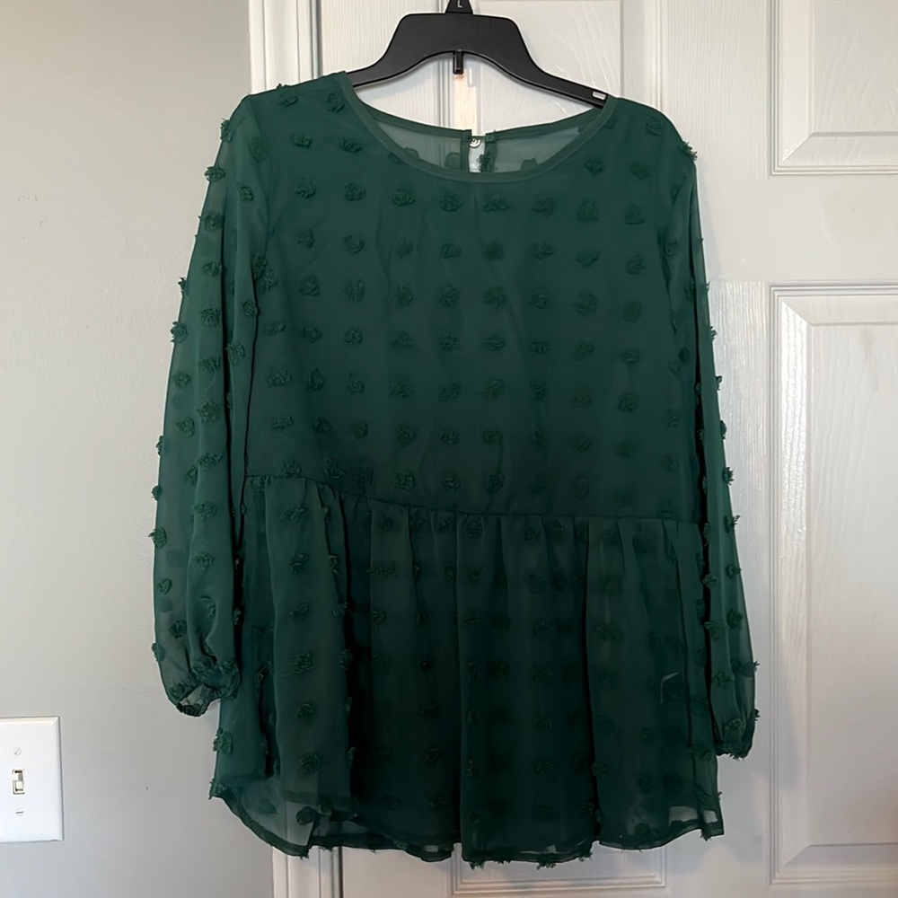 Sheer Green Blouse - NWOT